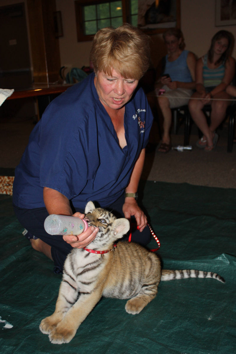 Lori Day from Space Farms with a tiger cub