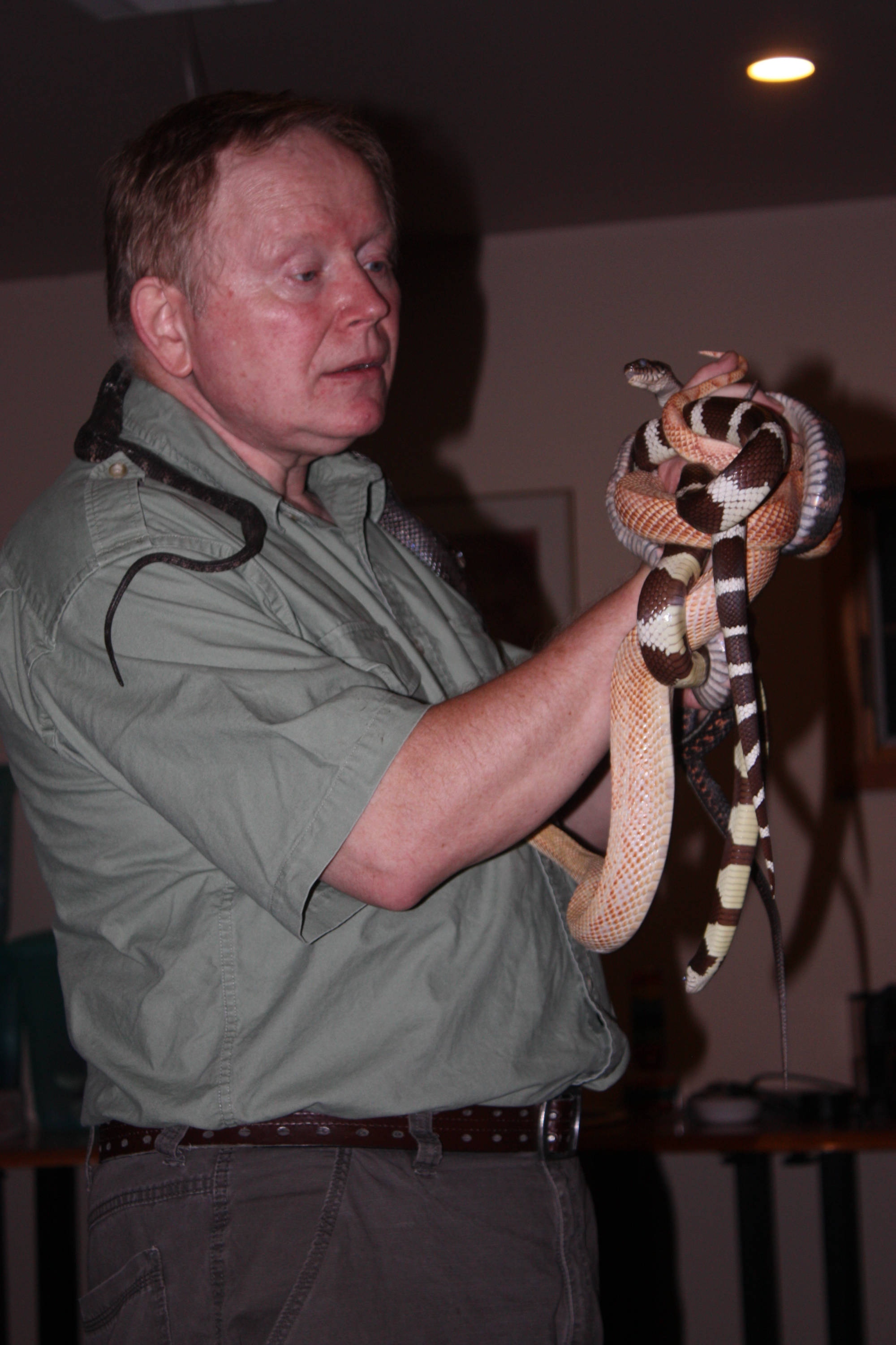 Pete from Wildlife encounters with snakes